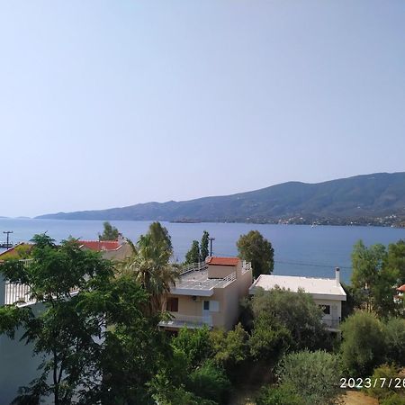 Вилла Rigos House At Askeli Beach, Poros Island Порос Экстерьер фото