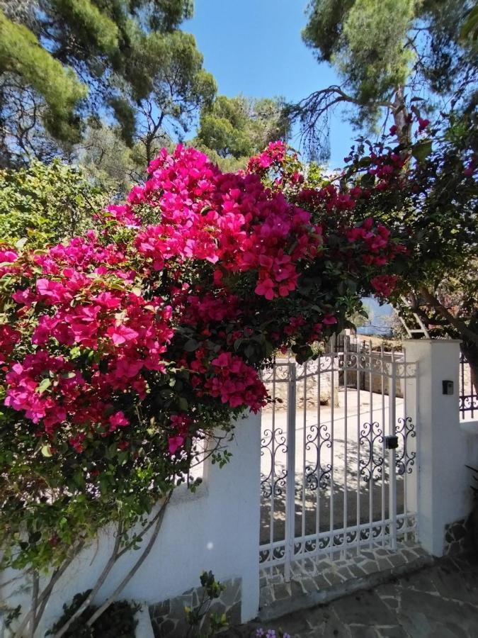 Вилла Rigos House At Askeli Beach, Poros Island Порос Экстерьер фото